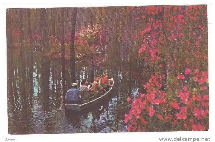 Cypruss Gardens , Charleston , South Carolina , PU-1970