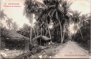 Vietnam Cochinchine Plantation de Cocotiers Indochine Postcard C063