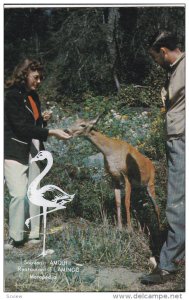 Woman Feeding a Buck, Restaurant Flamingo Stamp on the Front, QUEBEC, Quebec,...