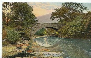 Scotland Postcard - Brig o'Turk - Trossachs - Stirlingshire  ZZ37