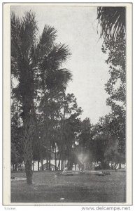 Fountain, Grounds At Florence Villa, Florida, 1910-1920s