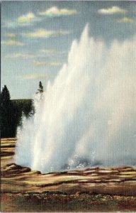 postcard Yellowstone National Park -  Daisy Geyser