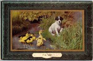 Puppy Plays With Baby Ducks BB London Postcard Posted 1911