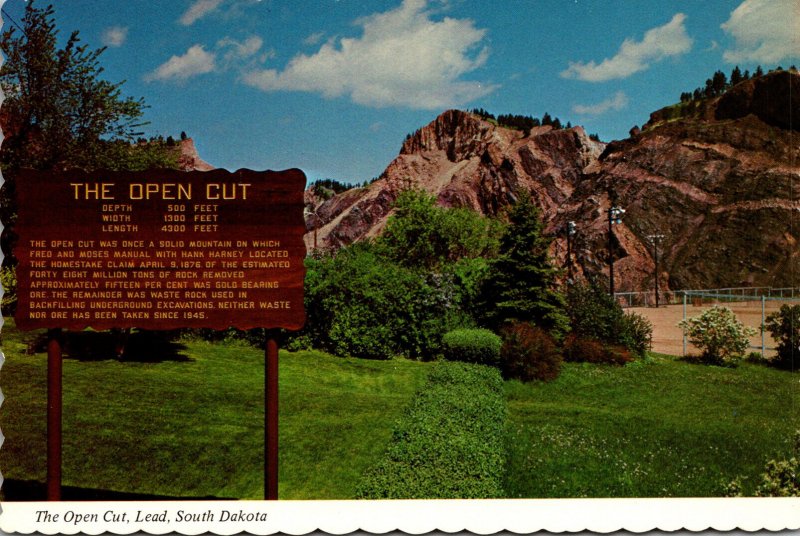 South Dakota Lead The Open Cut