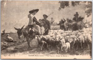 Avignon (Musee Calvet) Paul Vayson Retour Du Marche France Postcard