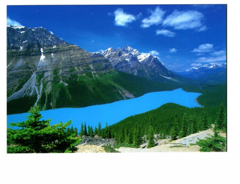 Peyto Lake, Alberta, Canadian Rockies,