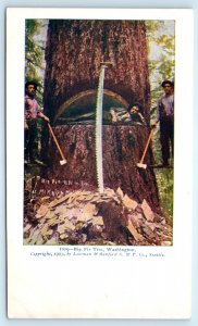 Seattle Washington WA Lumberjacks Loggers Postcard