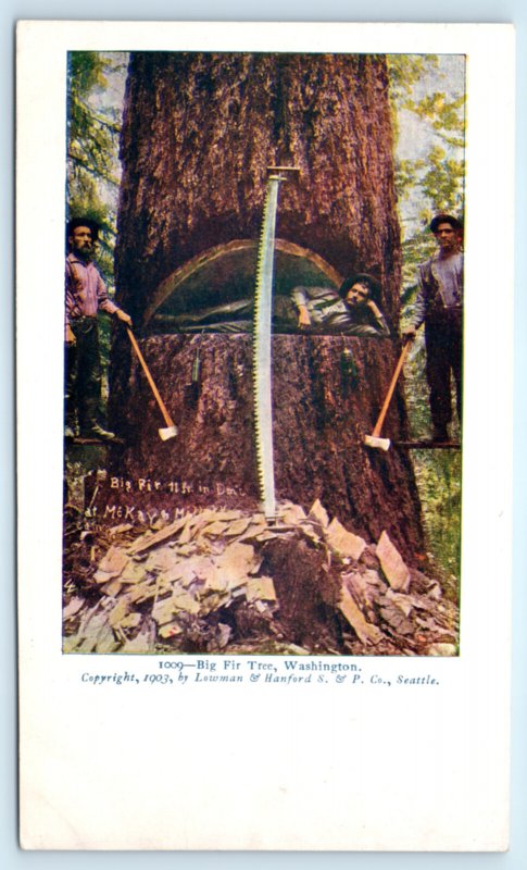 Seattle Washington WA Lumberjacks Loggers Postcard