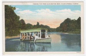 Glass Bottom Boat Feeding Fish Silver Springs Florida linen postcard