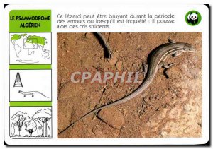 The map Psammodrome Algrien This lizard WWF