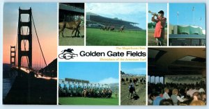 ALBANY, CA ~ Horse Racing Track GOLDEN GATE FIELDS Bridge   4x8 Postcard