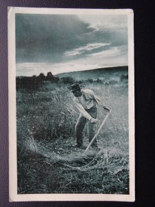 Farming Theme A MAN SCYTHE THE GRASS IN FIELD - Old Postcard