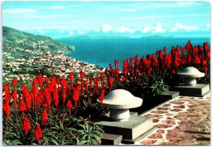 VINTAGE CONTINENTAL SIZE POSTCARD VIEW OF FUCHAL MADEIRA FROM THE BARCELOS PEAK