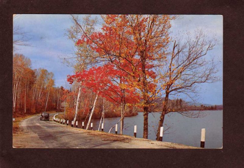 MA Greetings From Lynnfield Center Mass Massachusetts Postcard Road Trees