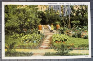 Vintage Postcard 1931 Scenes from Jungle Gardens Avery Island Louisiana