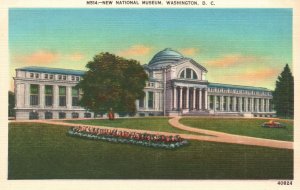 Vintage Postcard New National Museum Government Collections Washington DC