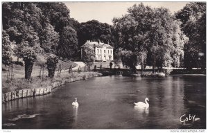 RP, Swans, Chateau De La Vespiere, ORBEC (Calvados), France, PU-1961