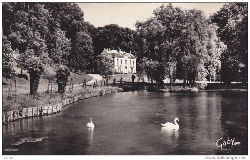 RP, Swans, Chateau De La Vespiere, ORBEC (Calvados), France, PU-1961