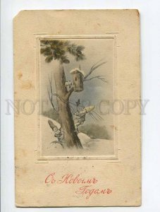 3052142 NEW YEAR X-mas GNOME w/ BIRDS Vintage RPPC Russia