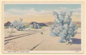 Smoke Trees in a Desert Wash - Southwest United States - Linen