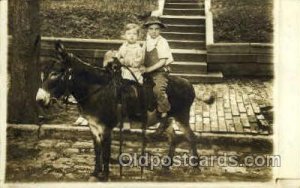 Real Photo Horse Horses, Unused yellowing on back from age