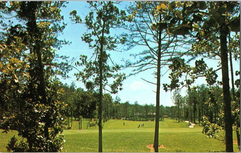 De Soto Gold Course Hot Springs Arkansas Vintage Standard View Postcard #2 