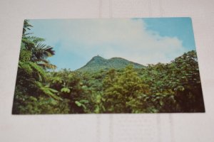 Picacho Mountain and Tower at El Yunque Rain Forest Puerto Rico Postcard