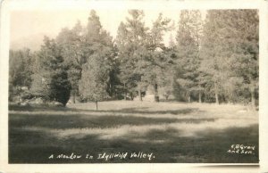 California Idlewild A beautiful Meadow Gray & Son RPPC Photo Postcard 22-10096