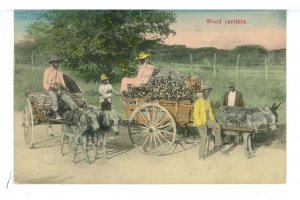 Puerto Rico - Wood Carriers ca 1910   *Paquebot*