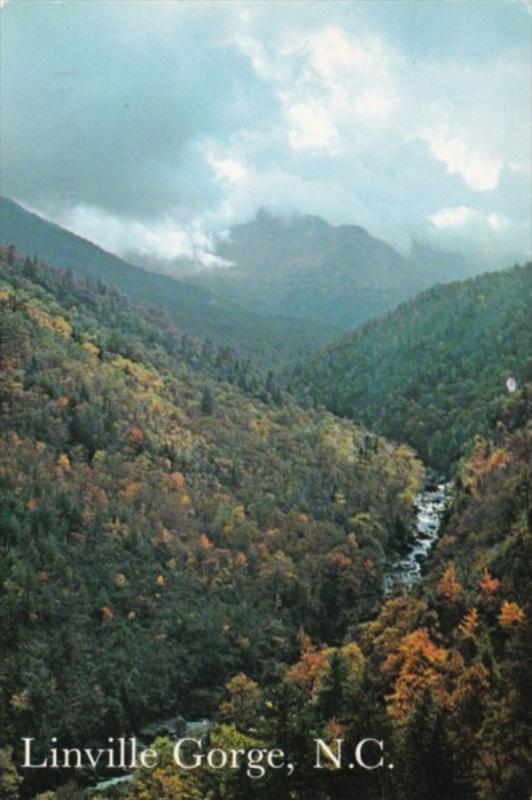 Wilderness Area Linville Gorge North Carolina