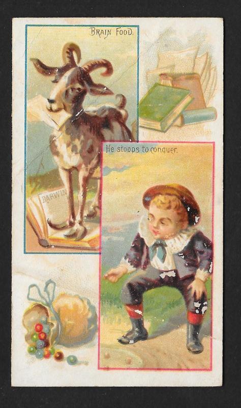 VICTORIAN TRADE CARD American Tobacco Jokes