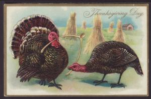 Thanksgiving,Turkeys Pulling Wishbone,Tuck's Postcard