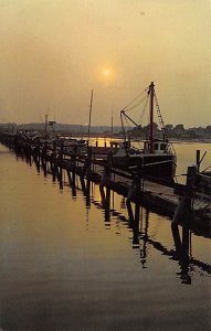 Sunset Scene Cape Cod - Wellfleet, Massachusetts MA Postcard