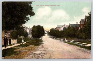 Cape Girardeau Missouri~Ellis Street~Victorian Homes~Lil Girl Follows Dad~1909