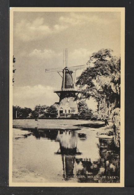 Windmill Netherlands Postcard 