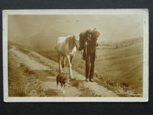 Cumbria Country Life SHEEP SHEPHERD A LAKELAND DALESMAN (1) c1920s RP Postcard