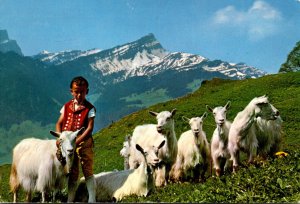 Switzerland The Alps Young Boy With Sheep