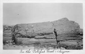 Postcard RPPC C-1910 Arizona Nielen Petrified Forest AZ24-1414