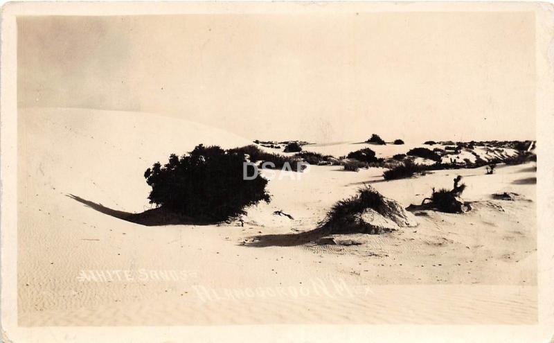 A43/ Alamogorgo White Sands New Mexico NM Real Photo RPPC Postcard c1920 Dunes