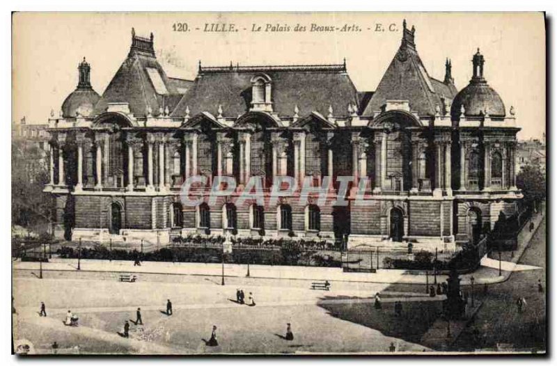 Old Postcard Lille Palace of Fine Aris