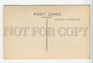 439109 CRAWHALL Dove PIGEON Vintage postcard