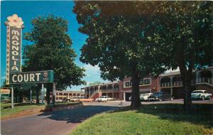 Postcard Magnolia Court Hotel Motel Little Rock Arkansas old cars 1950's