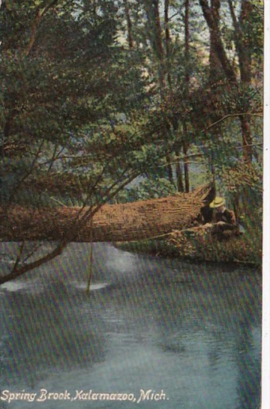 Michigan Kalamazoo Spring Brook 1909