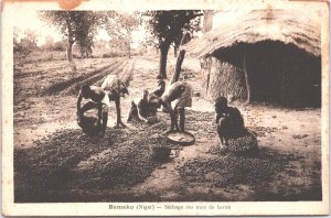 Mali Bamako Drying Shea Nuts Vintage Postcard 09.12