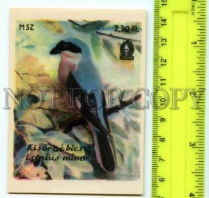 500279 HUNGARY Bird Lanius Minor Vintage match label