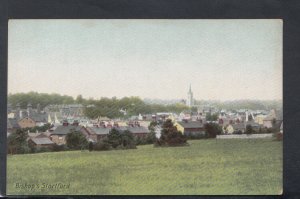 Hertfordshire Postcard - View of Bishop's Stortford     RS20153