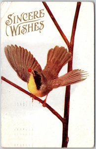 1907 Sincere Wishes & Greetings, Bird On The Tree Branch, Vintage Postcard