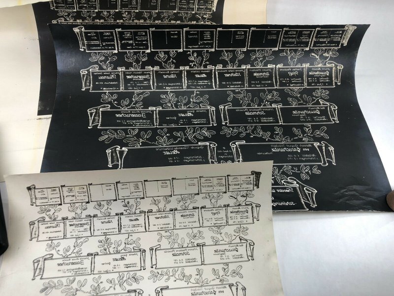 Vtg Theodor von Groschwitz Family Tree Geneology 1700's to 1870 German Print