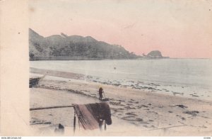 JAPAN , 00-10s ; Beach Scene