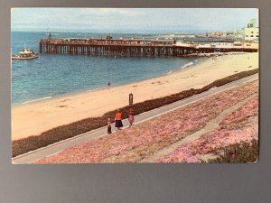 Redondo Beach CA Chrome Postcard A1169085735